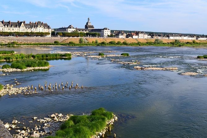 Loire Valley Castles and Wineries Private VIP Day Trip with Lunch - Private transport and VIP pacing: what you really pay for