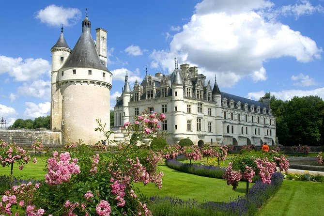 Loire Valley Castles Private Day Trip from Paris - Private Loire Valley Castles: what this day trip really delivers