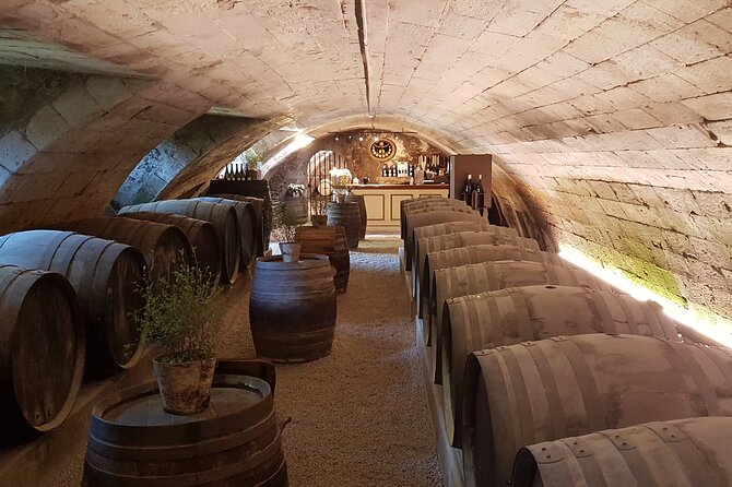 Loire Valley Castles Private Tour From Paris/skip-the-line ticket - What to Expect On the Day (and How to Prepare)