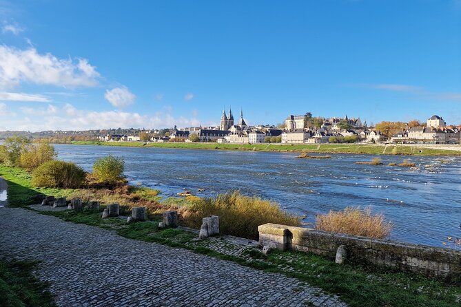 Loire Valley Chambord Castle and Wine Tasting from Paris - Small-group comfort: a minivan tour that doesn’t feel like a cattle line