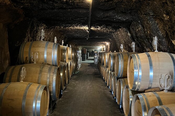 Loire Valley Chambord Castle and Wine Tasting from Paris - Timing and duration: an 11-hour day with built-in breaks