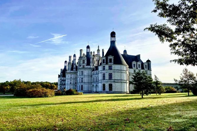 Loire Valley Wines and Castle Small Group Day Trip from Paris - Amboise Lunch: French Courses Paired With Loire Bottles