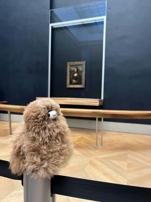 Louvre Museum Entry Ticket and Private Guided Tour - Key things to know before you go