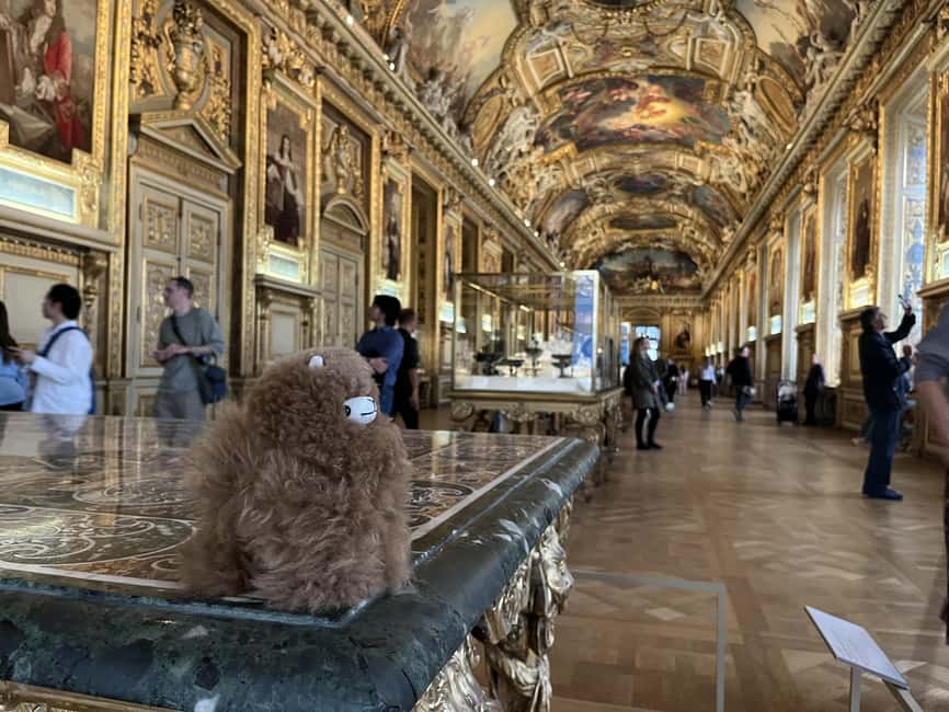 Louvre Museum Entry Ticket and Private Guided Tour - Photo Rules, Bags, and Basic Museum Realities