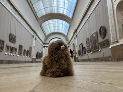 Louvre Museum Entry Ticket and Private Guided Tour - Meeting at Palais Royal: Find Mr. Lama Leonardo