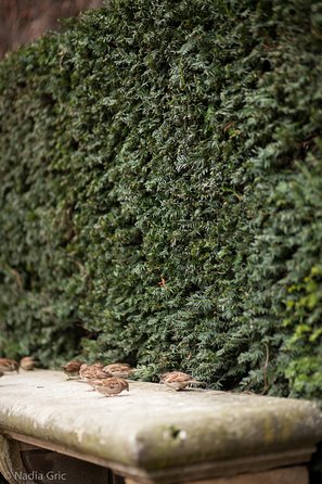 Marais semi private walking tour - What to expect: timing, pace, and getting your best experience