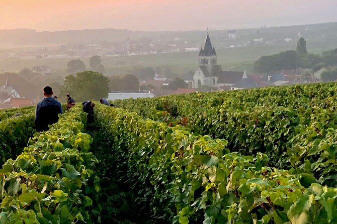 Moet et Chandon Pommery Pressoria Champagne Private trip - Pressoria Museum: Champagne Method, History, and Two Glasses