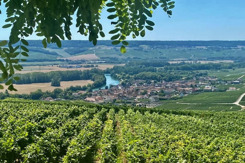Moet et Chandon Veuve Clicquot Pommery Private Champagn Trip - Key highlights worth planning around