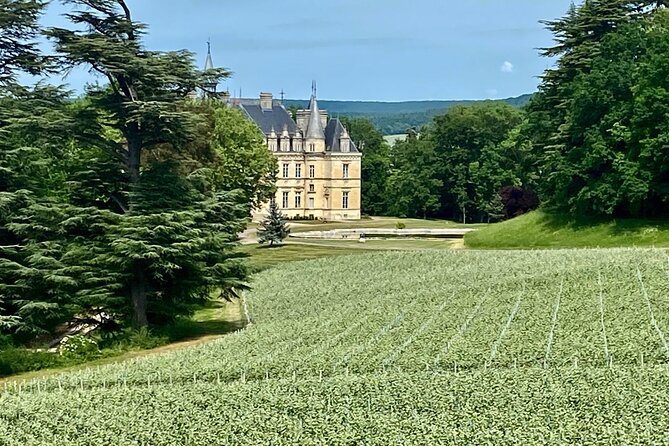Moet et Chandon Veuve Clicquot Pommery Private Champagne Day trip - Épernay lunch and the Avenue of Champagne walk