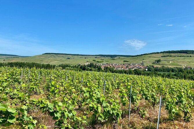 Moet et Chandon Veuve Clicquot Private Champagne trip from Paris - Hautvillers Abbey Saint-Pierre d’Hautvillers and the Dom Pérignon viewpoint moment