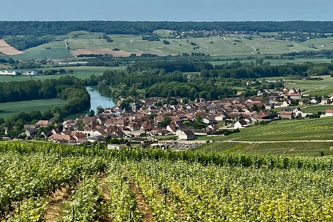 Moet et Chandon Veuve Clicquot Private Champagne trip from Paris - Price and value: is $750.95 reasonable for this Champagne route?