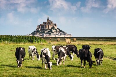 Mont Saint Michel Guided Day Trip with Hotel Pickup - Guided Abbey du Mont-Saint-Michel: the part you don’t want to rush
