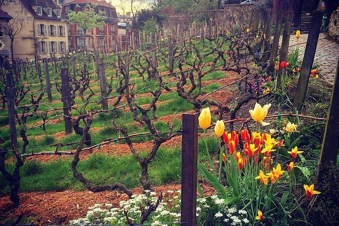 Montmartre Highlights - Bohemian Streets & Sacré-Coeur Basilica - Place du Tertre: A Quiet Ending With Vineyards and Bocce Feel
