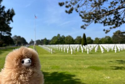 Normandy D-day landing beaches & Caen Memorial Private Tour - Caen Memorial de Caen: Your First Reality Check