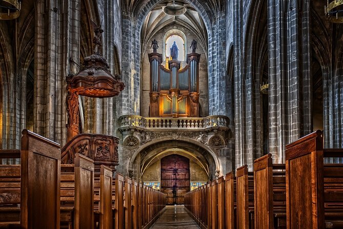 Notre Dame Guided Tour with Scheduled Group Access Option - Practical Tips to Avoid the Common Headaches