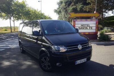 ORLY - Euro Disney - ORLY (Two Way) Private Shuttle Transfer - Finding your driver at ORY without wandering the terminal