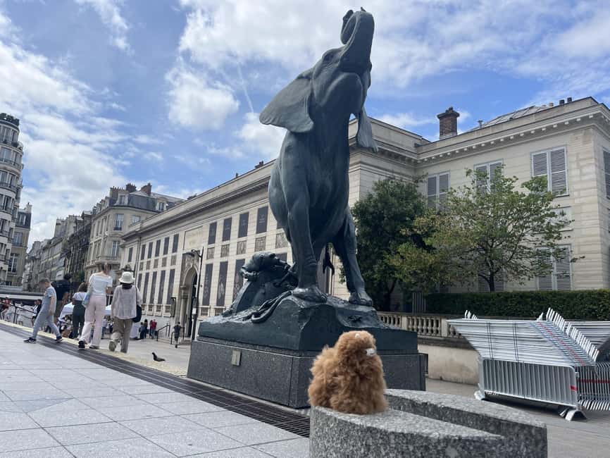 Orsay Museum: Museum Ticket Entry & 2h Private Guided Tour - Key Points to Know Before You Go