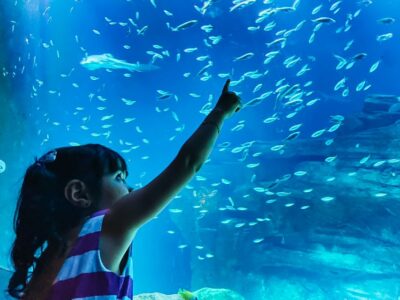 Paris: Aquarium de Paris Entrance Ticket - Skip-the-line ticket value: what you get (and what you don’t)