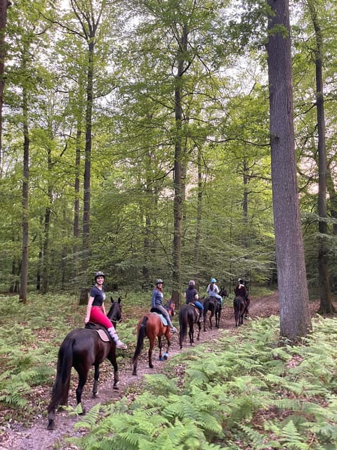 Paris: Aumont-en-Halatte Horseback Riding Tour - What to bring (and what to skip)