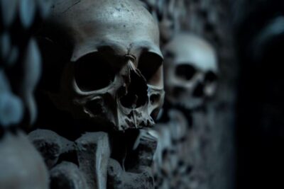 Paris: Catacombs, Audio Guide, and River Cruise Option - Walking the bones: what the Catacombs feel like with audio