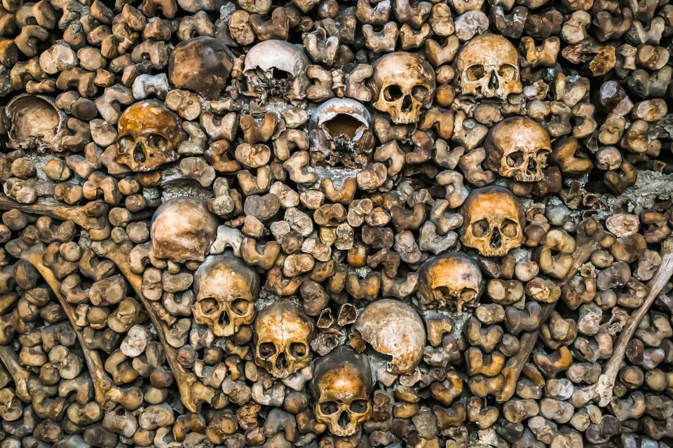 Paris: Catacombs Restricted Access Tour - Final call: should you book the Restricted Access Catacombs tour?