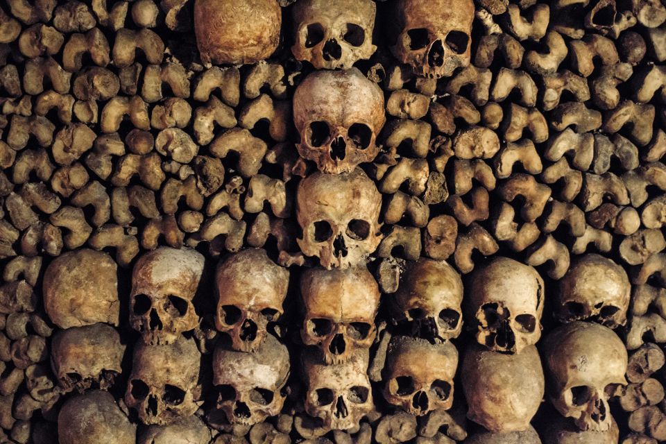 Paris: Catacombs Special Access Tour - Should you book the Paris Catacombs Special Access Tour?