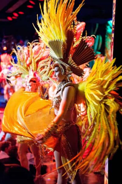 Paris: Champagne at the Moulin Rouge & Seine River Cruise - The Féerie revue: can-can, Champagne, and a costume overload