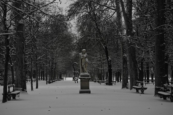 Paris Christmas Tour with a Local Guide: Custom & Private - Timing, meet-up points, and what 3 hours really means