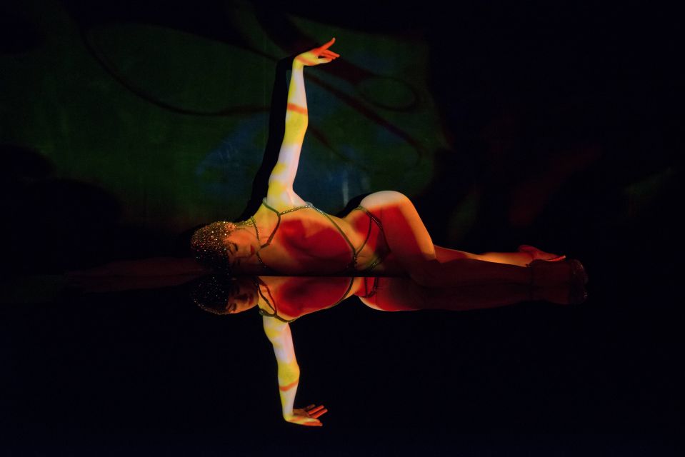 Paris: Dinner at Ginger Restaurant & Show at Crazy Horse - Price and value: why $241 per person can make sense