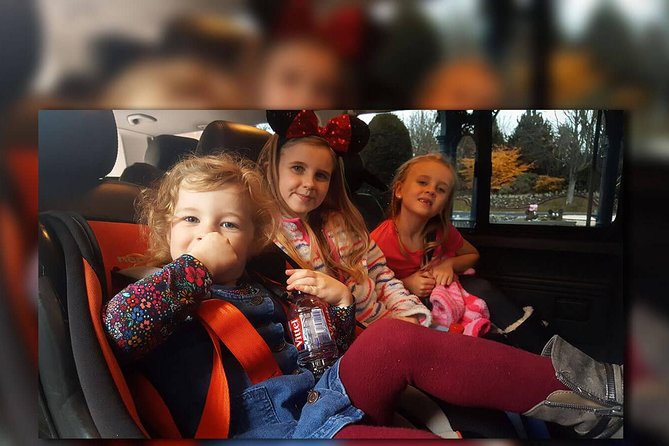 PARIS - Euro Disney - PARIS Two Way Private Shuttle Transfer - The timing that can save your whole day