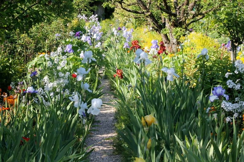 Paris: Giverny Gardens Day Trip with Professional Tour Guide - Why Giverny beats a rushed DIY day