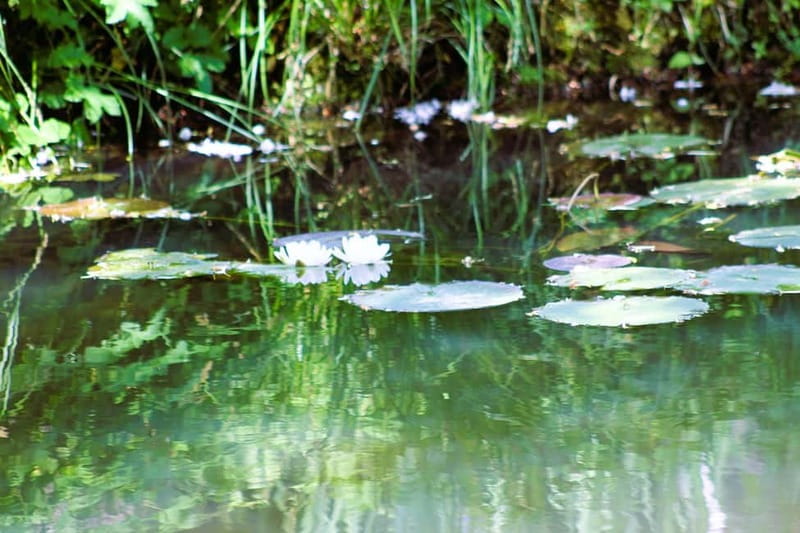 Paris: Giverny Gardens Day Trip with Professional Tour Guide - The Giverny church and Monet’s memorial: a meaningful stop