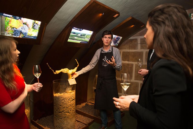 Paris - Guided Visit & Tasting in a Royal Wine Cellar - Pacing, group size, and the reality of time underground