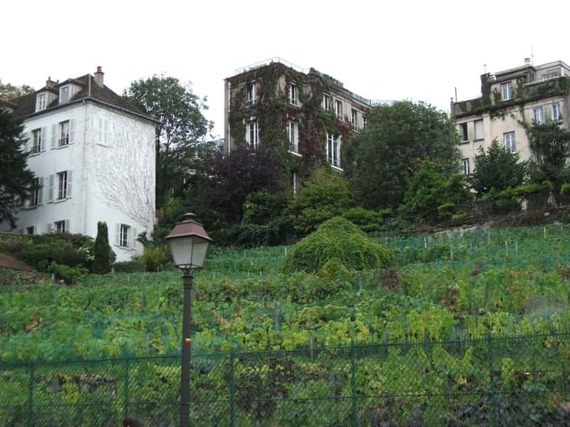 Paris: Montmartre Private Walking Tour - Rue Lepic uphill: where Impressionist energy turns into a walking route