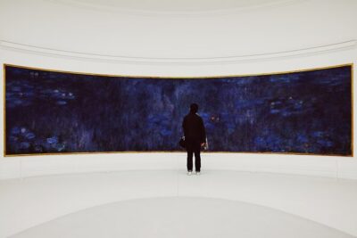 Paris Musée de l'Orangerie Dedicate Entrance Tickets - Monet’s Water Lilies: plan your time around the main event