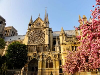 Paris: Notre Dame Exterior Private Tour - The 850-year sweep: medieval Paris explained through a single church