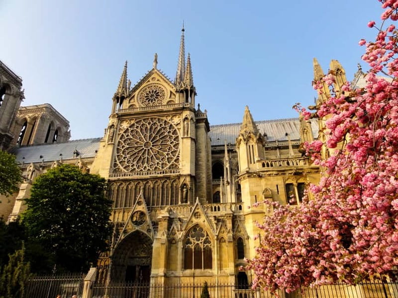 Paris: Notre Dame Exterior Private Tour - The 850-year sweep: medieval Paris explained through a single church