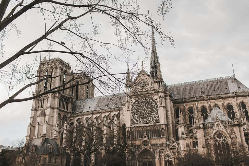 Paris: Notre Dame Exteriors and Ile de la Cité Walking Tour - Finding your guide at Pont des Arts (and why this start works)