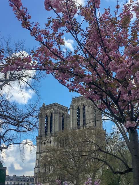 Paris: Notre Dame Exteriors and Ile de la Cité Walking Tour - Conciergerie and Palais de Justice: where royal life met revolutionary justice