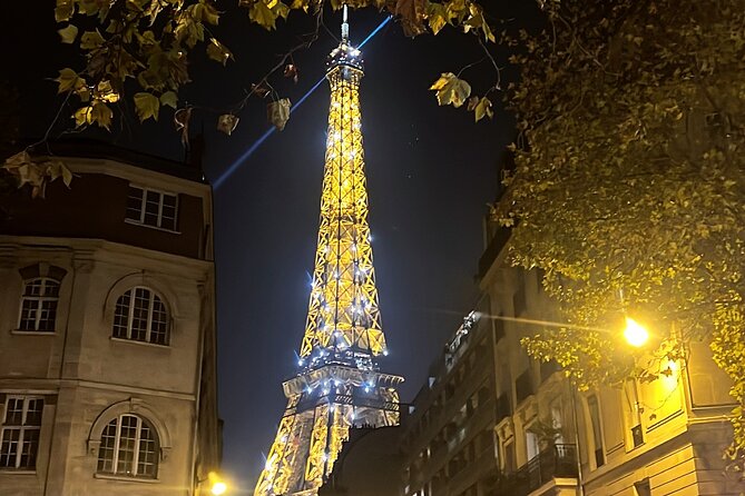 Paris Pink Tour by Night with Champagne - Champs-Élysées and the long line of classic sights