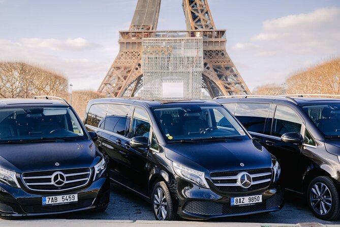 Paris Private City Tour Experience - When This Tour Feels Like VIP Paris (and When It Doesn’t)