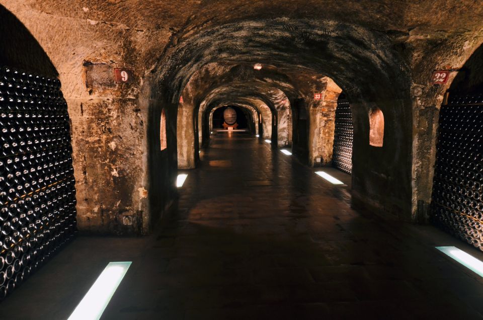 Paris: Private Day Trip to Champagne with 8 Tastings & Lunch - Guides can make or break the day: what the best ones do
