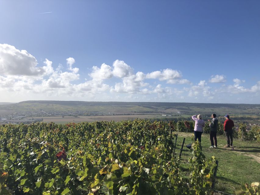 Paris: Private Day Trip to Champagne with 8 Tastings & Lunch - Masterclass and tastings: how to go from drinking to understanding