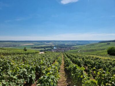 Paris: Private Epernay Trip with Champagne Vineyard Tastings - Épernay Stop: Major Champagne House Tour and Your First Tastings