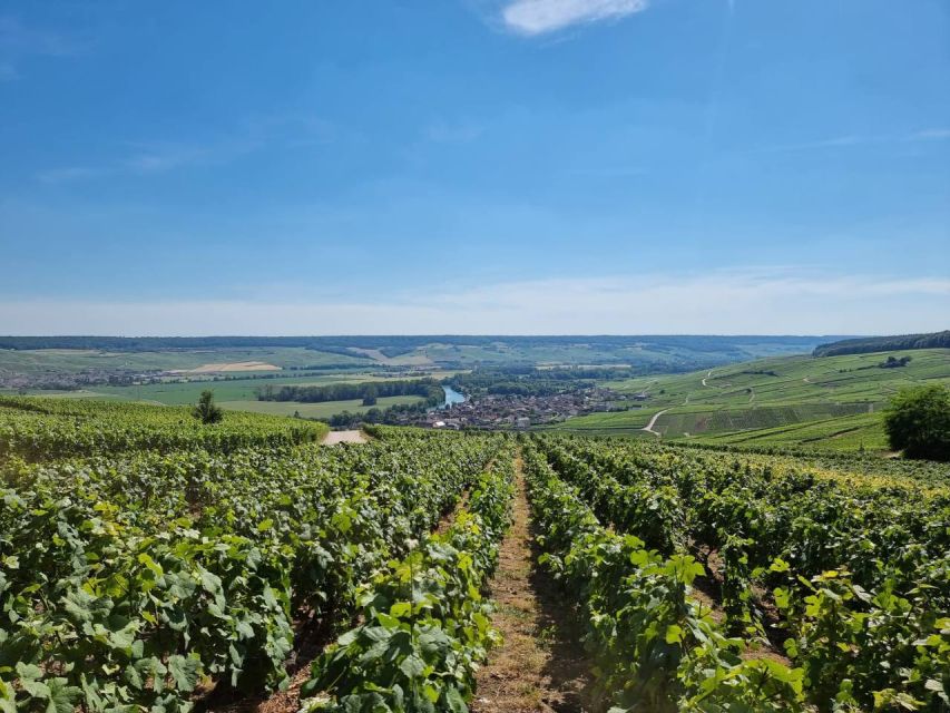 Paris: Private Epernay Trip with Champagne Vineyard Tastings - Épernay Stop: Major Champagne House Tour and Your First Tastings