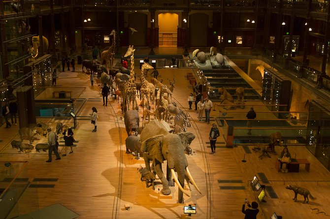 Paris Private Family Tour - Highlights & the Best Museum for Kids - The family-friendly pacing: highlights you can actually enjoy