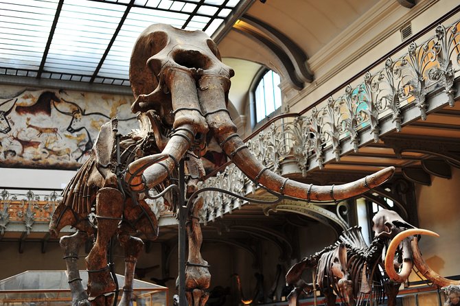 Paris Private Family Tour - Highlights & the Best Museum for Kids - Square du Vert-Galant: a kid-friendly river viewpoint