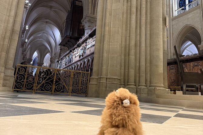 Paris Private Guided Walking Tour with Notre-Dame Visit - Île de la Cité: the start of Paris and a great place to pause
