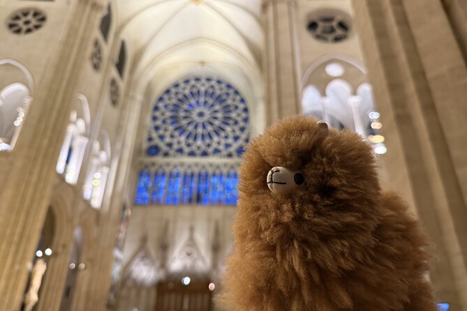 Paris Private Guided Walking Tour with Notre-Dame Visit - The real value: a private guide who adapts and lets you steer