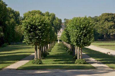 Paris: Private Tour of Domaine de Chantilly Ticket&Transfer - Chantilly gardens: Le Nôtre’s influence plus the Anglo-Chinese garden